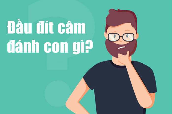 Đầu đit câm thì cược thủ nên đánh lô gì cho hiệu quả nhất 